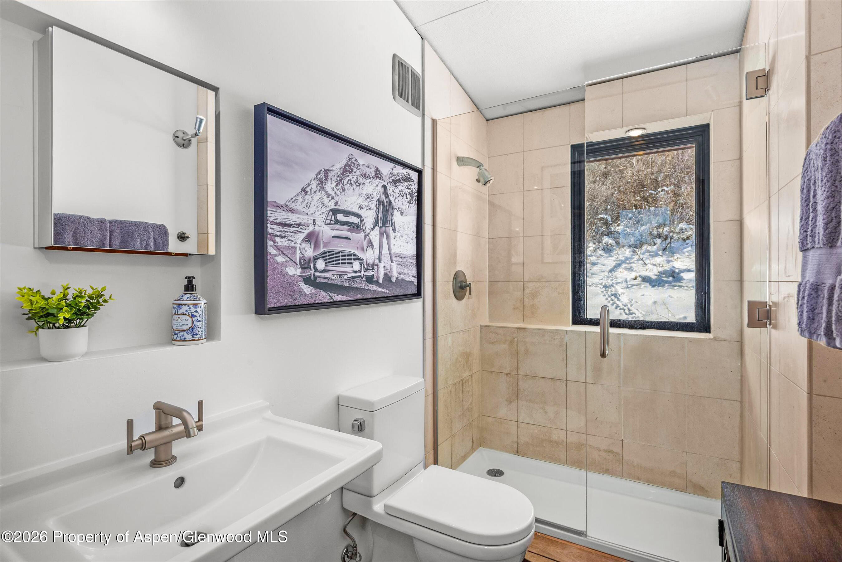 2700 Juniper Hill Road Aspen, CO 81611 - Photo 37 of 39 a bathroom with a sink mirror and a toilet