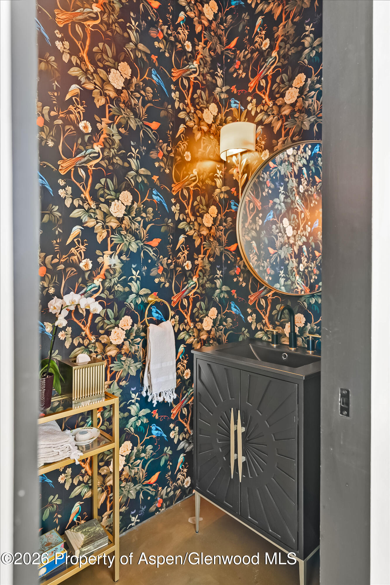 2700 Juniper Hill Road Aspen, CO 81611 - Photo 39 of 39