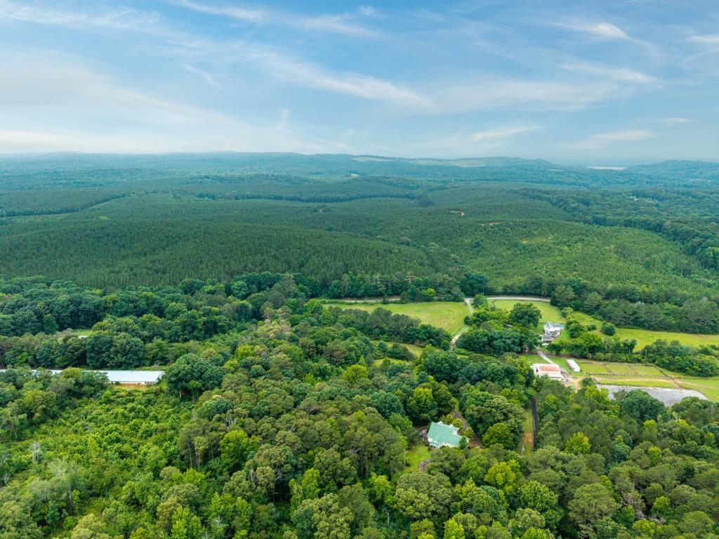 176 Big Oak Tree Road Northwest Adairsville, GA 30103 - Photo 62 of 77 an aerial view of residential houses with outdoor space and trees
