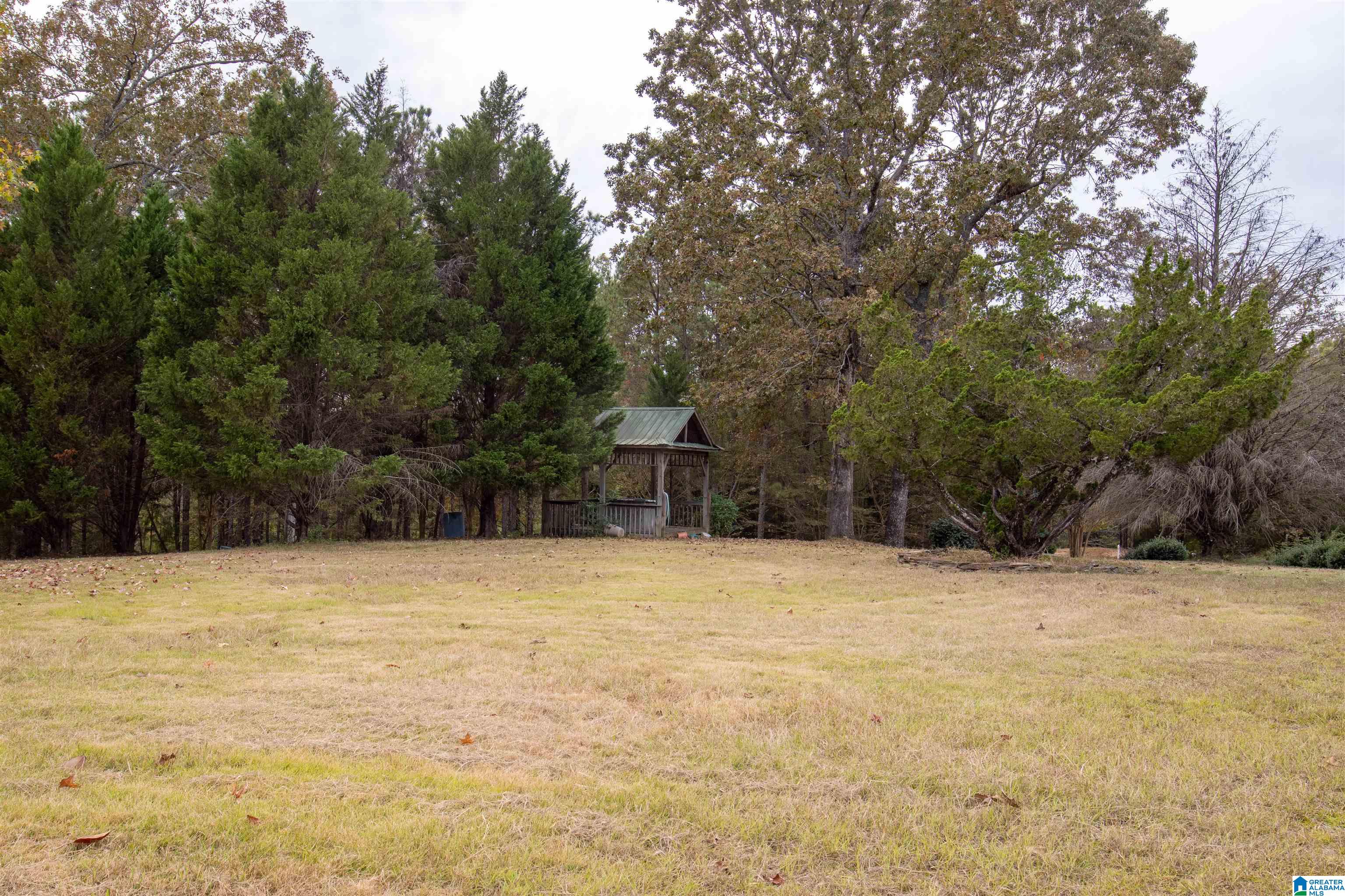 1370 County Road 759 Clanton, AL 35046 - Photo 45 of 52
