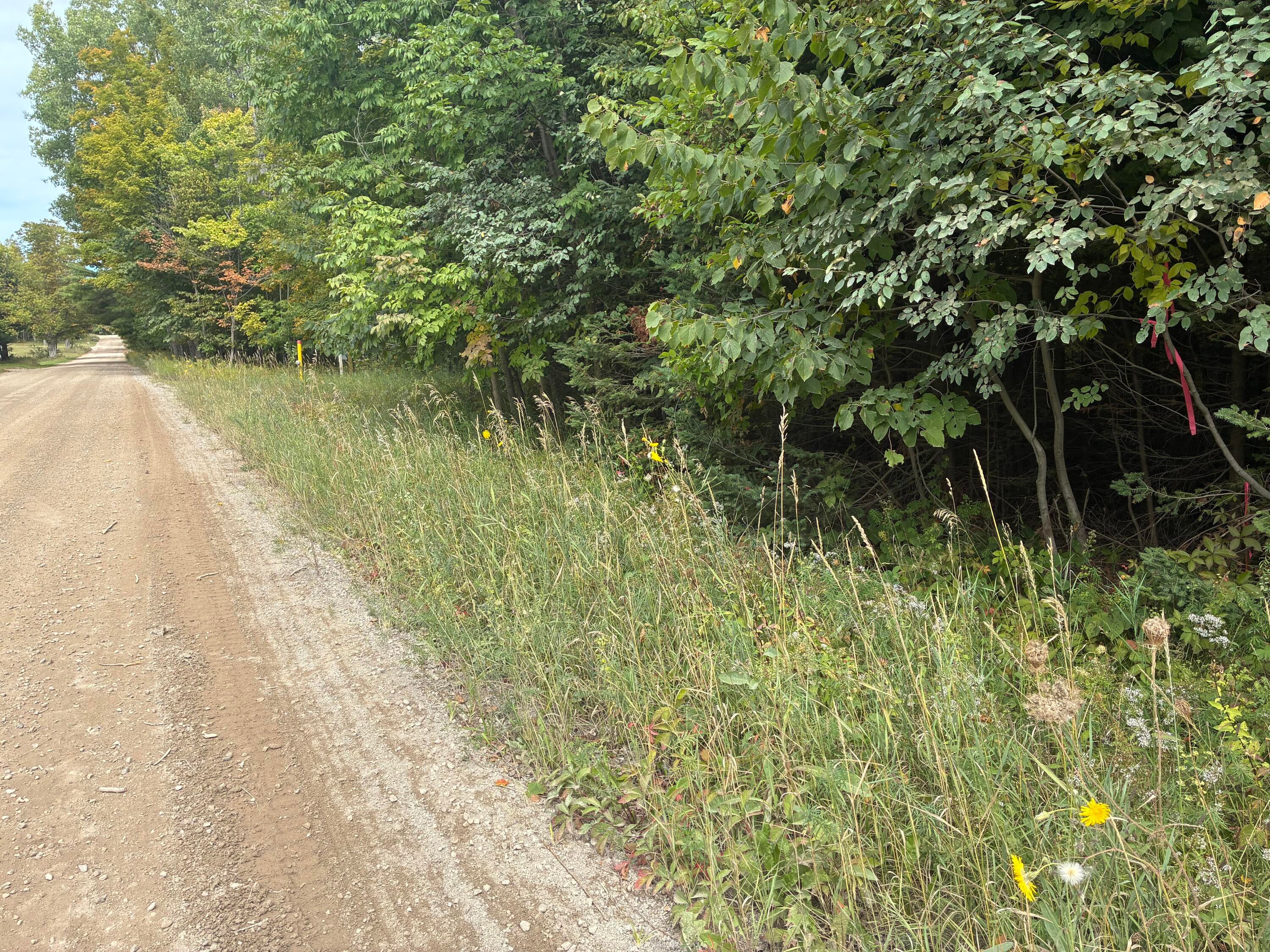 11449 Bilder Road Wolverine, MI 49799 - Photo 9 of 68 Gallery Image 9