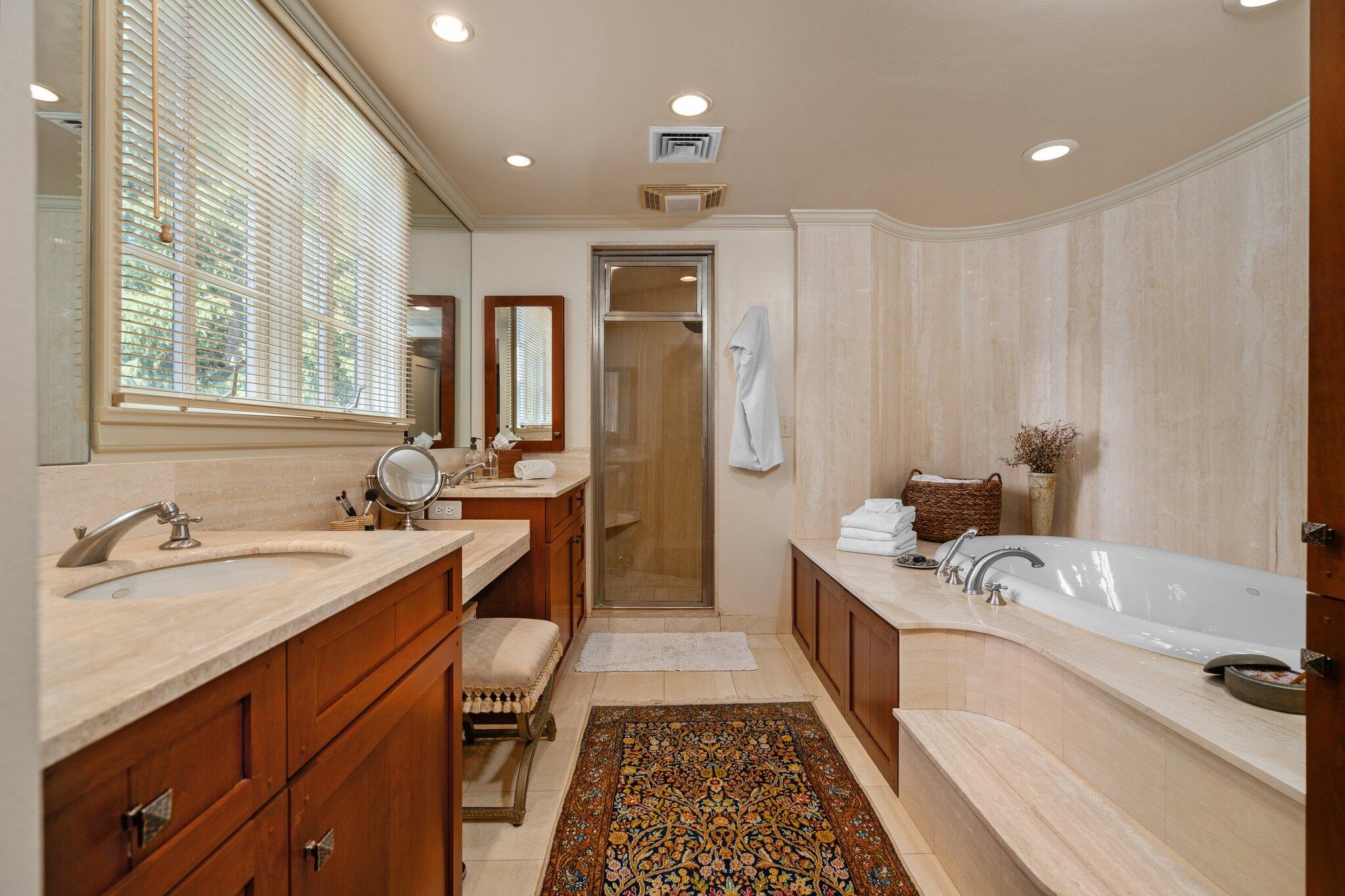 100 Underdown Road Ann Arbor, MI 48105 - Photo 45 of 95 Primary Bath