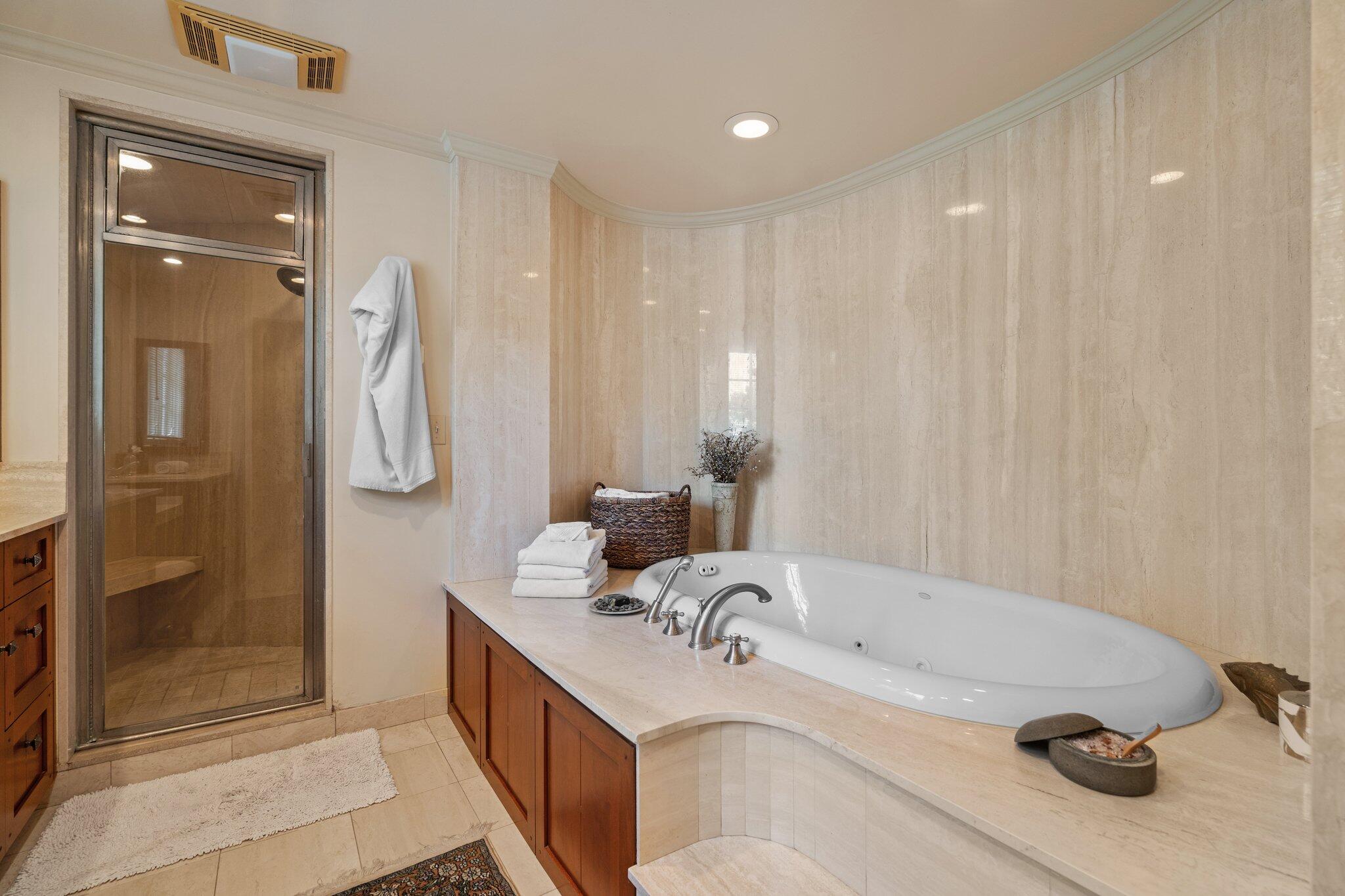 100 Underdown Road Ann Arbor, MI 48105 - Photo 47 of 95 Primary Bath