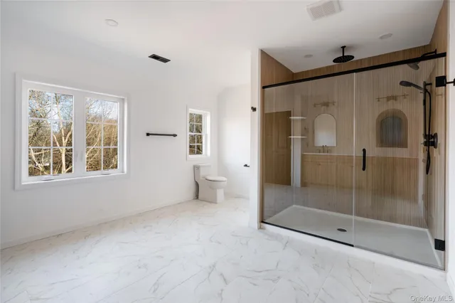 a bathroom with a shower and a toilet