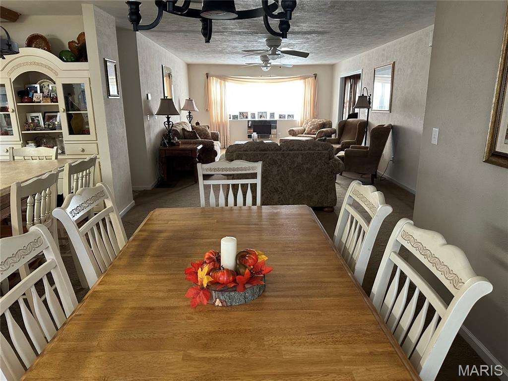 304 Crestview Drive Steeleville, IL 62288 - Photo 17 of 33