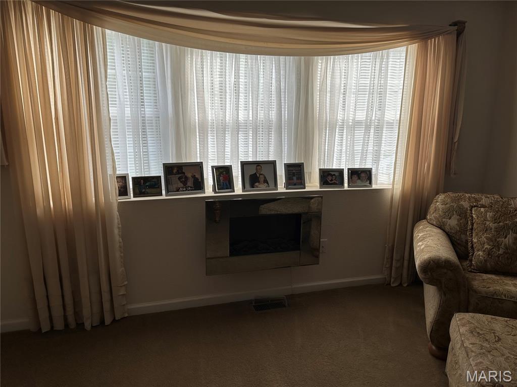 304 Crestview Drive Steeleville, IL 62288 - Photo 20 of 33