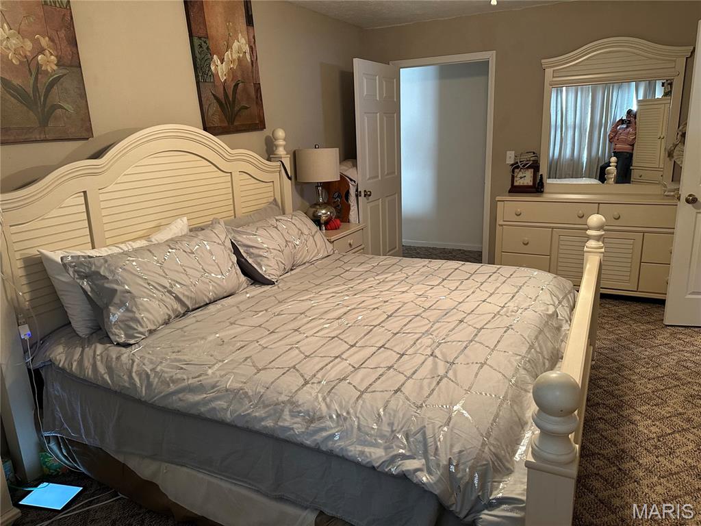 304 Crestview Drive Steeleville, IL 62288 - Photo 23 of 33