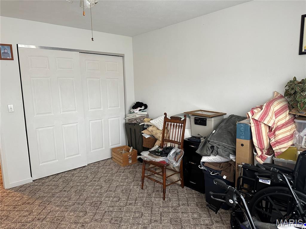 304 Crestview Drive Steeleville, IL 62288 - Photo 29 of 33