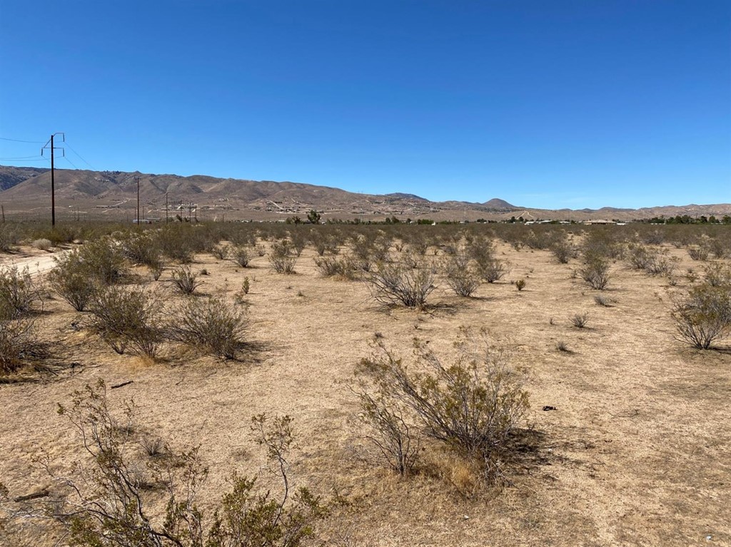 0 Lancelet Road Apple Valley, CA 92307 - Photo 1 of 1 a view of a dry yard with mountains