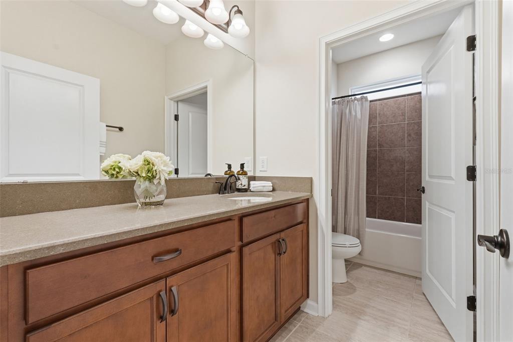 29241 Perilli Place Wesley Chapel, FL 33543 - Photo 24 of 27