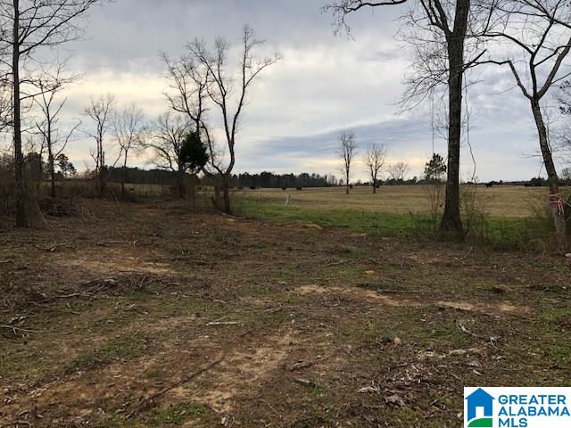Pine Mountain Road, Unit 2 Springville, AL 35146 - Photo 8 of 16