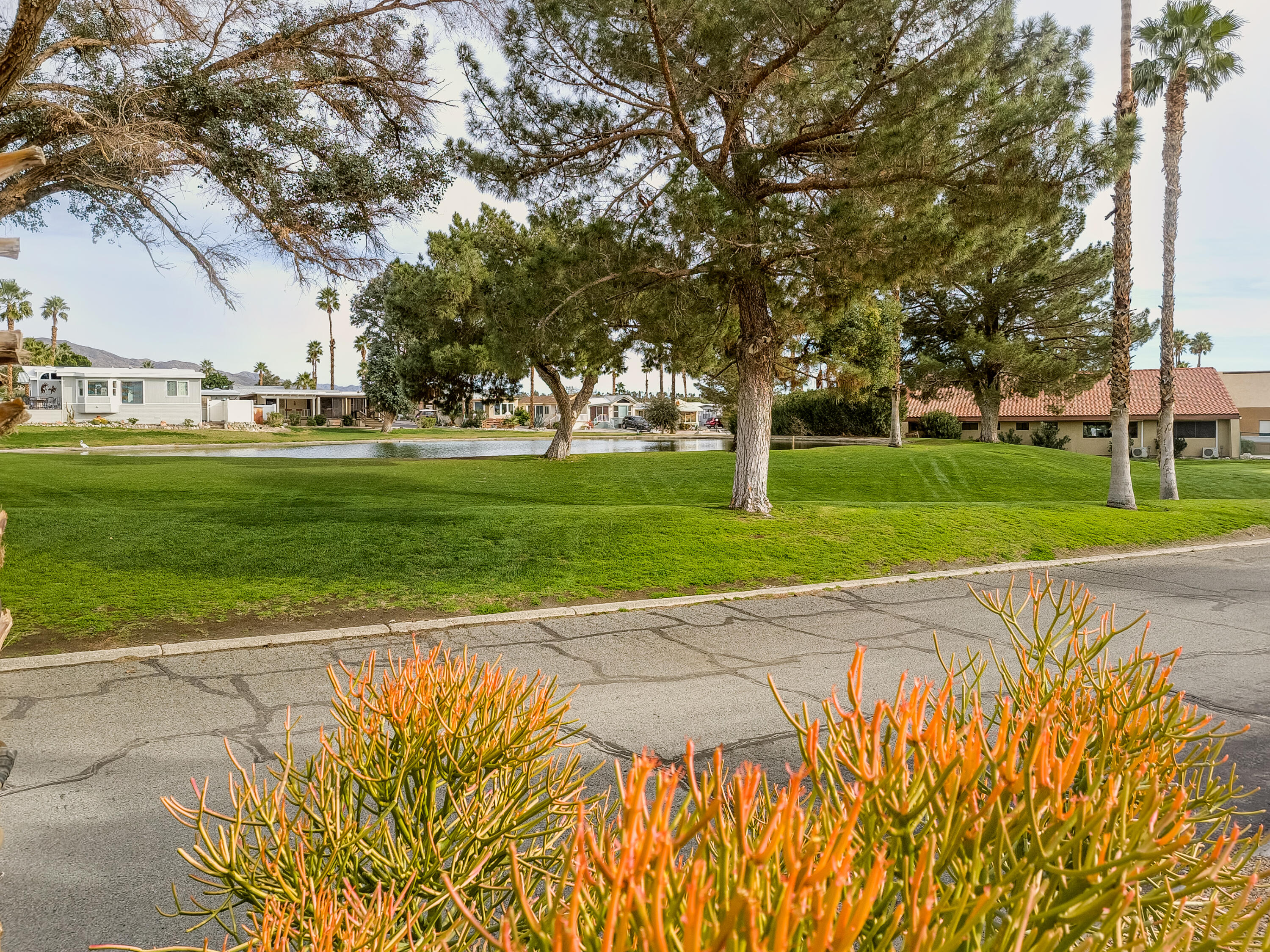 70200 Dillon Road, Unit 160 Desert Hot Springs, CA 92241 - Photo 26 of 31 a view of a park with large trees