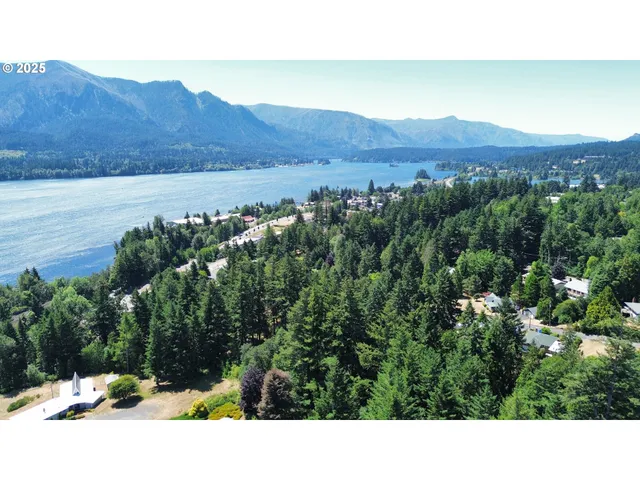 a black and white photo of a house