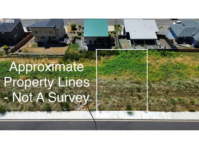 a black and white photo of a park