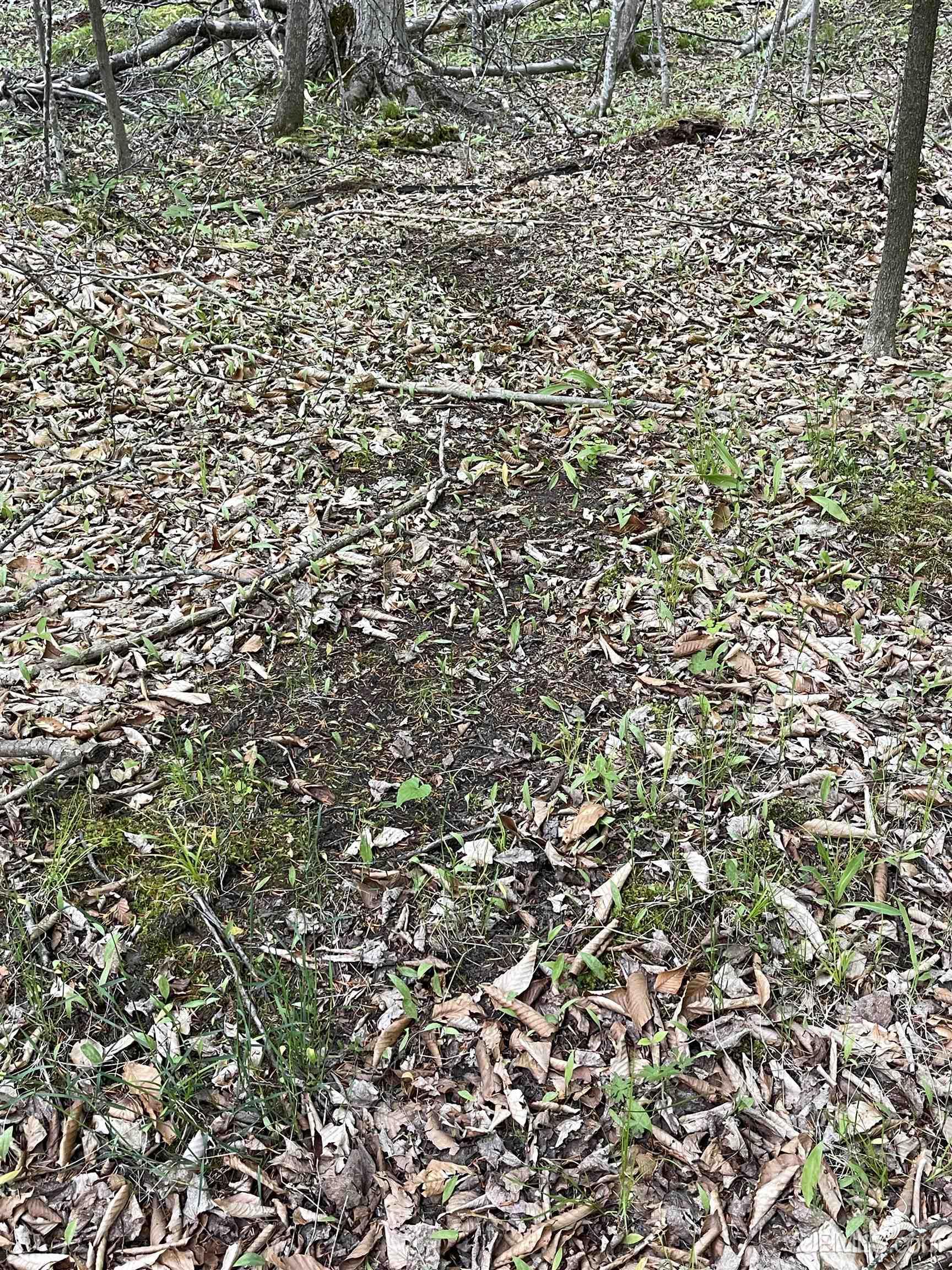 9.5 9.5 Road Gladstone, MI 49837 - Photo 14 of 61