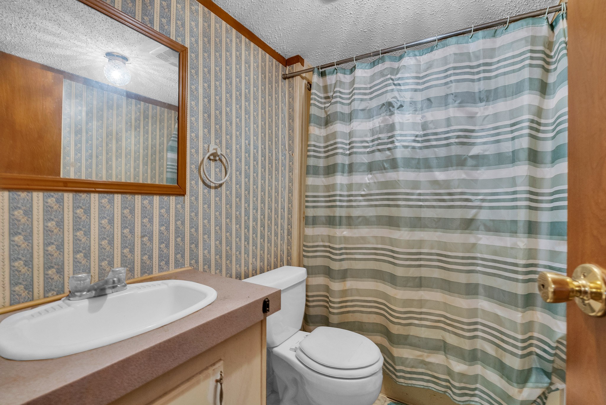 164 Glenn Lane Spring City, TN 37381 - Photo 22 of 33 a bathroom with a sink a toilet a mirror and shower curtain