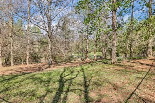 187 Long Road Charlotte, TN 37036 - Photo 51 of 60 Gallery Image 51