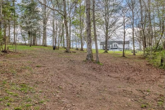 187 Long Road Charlotte, TN 37036 - Photo 54 of 60 Gallery Image 54