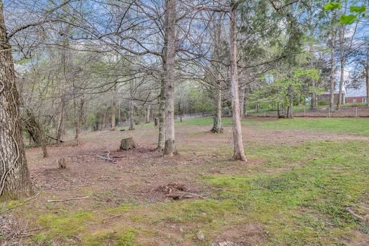 187 Long Road Charlotte, TN 37036 - Photo 55 of 60 Gallery Image 55