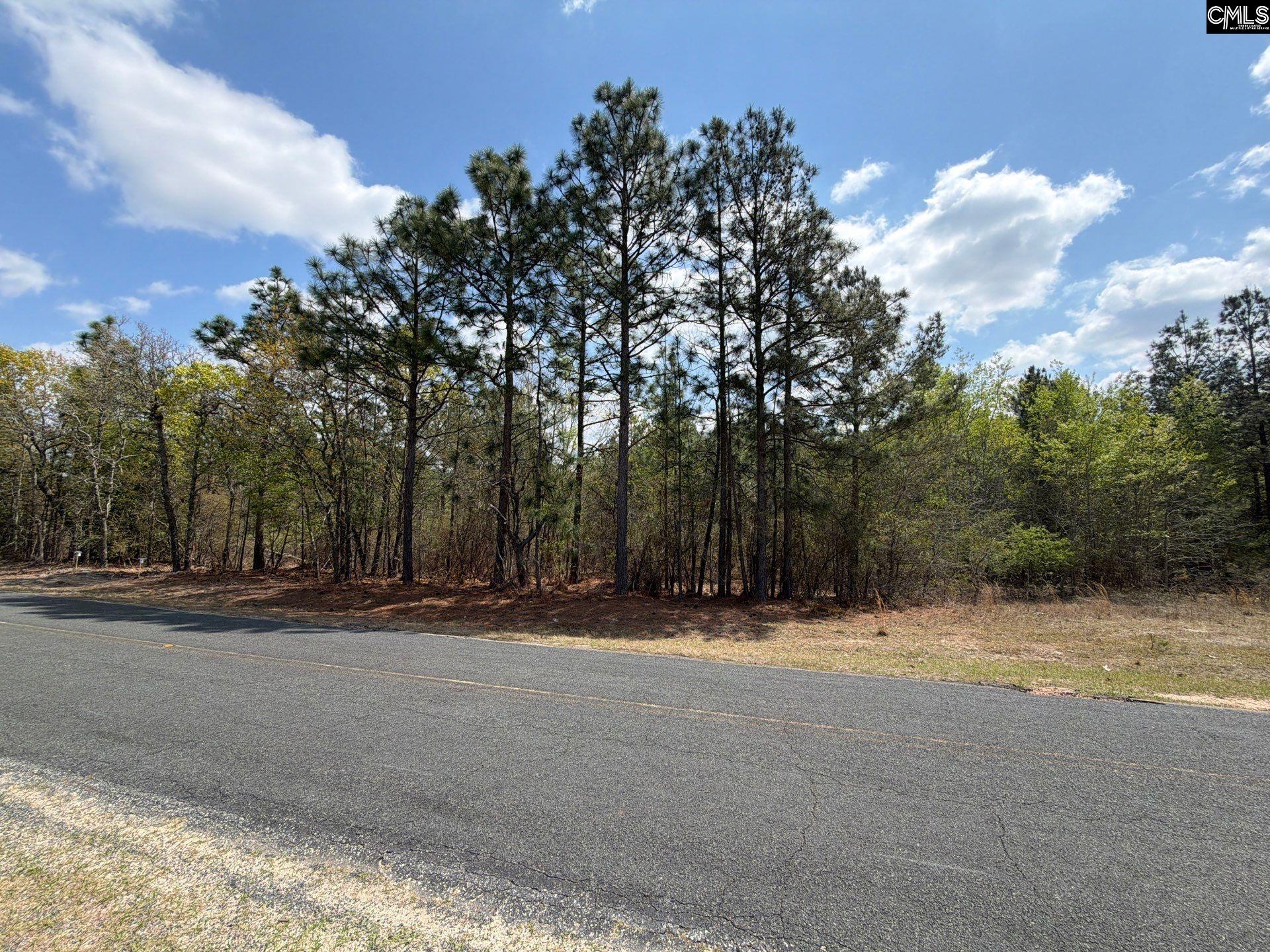 2 Mt Calvary Rd Ridge Spring, Unit CA 2 Ridge Spring, SC 29129 - Photo 6 of 29