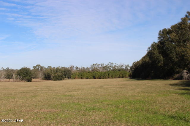 5148 Wintergreen Road Bascom, FL 32423 - Photo 35 of 36