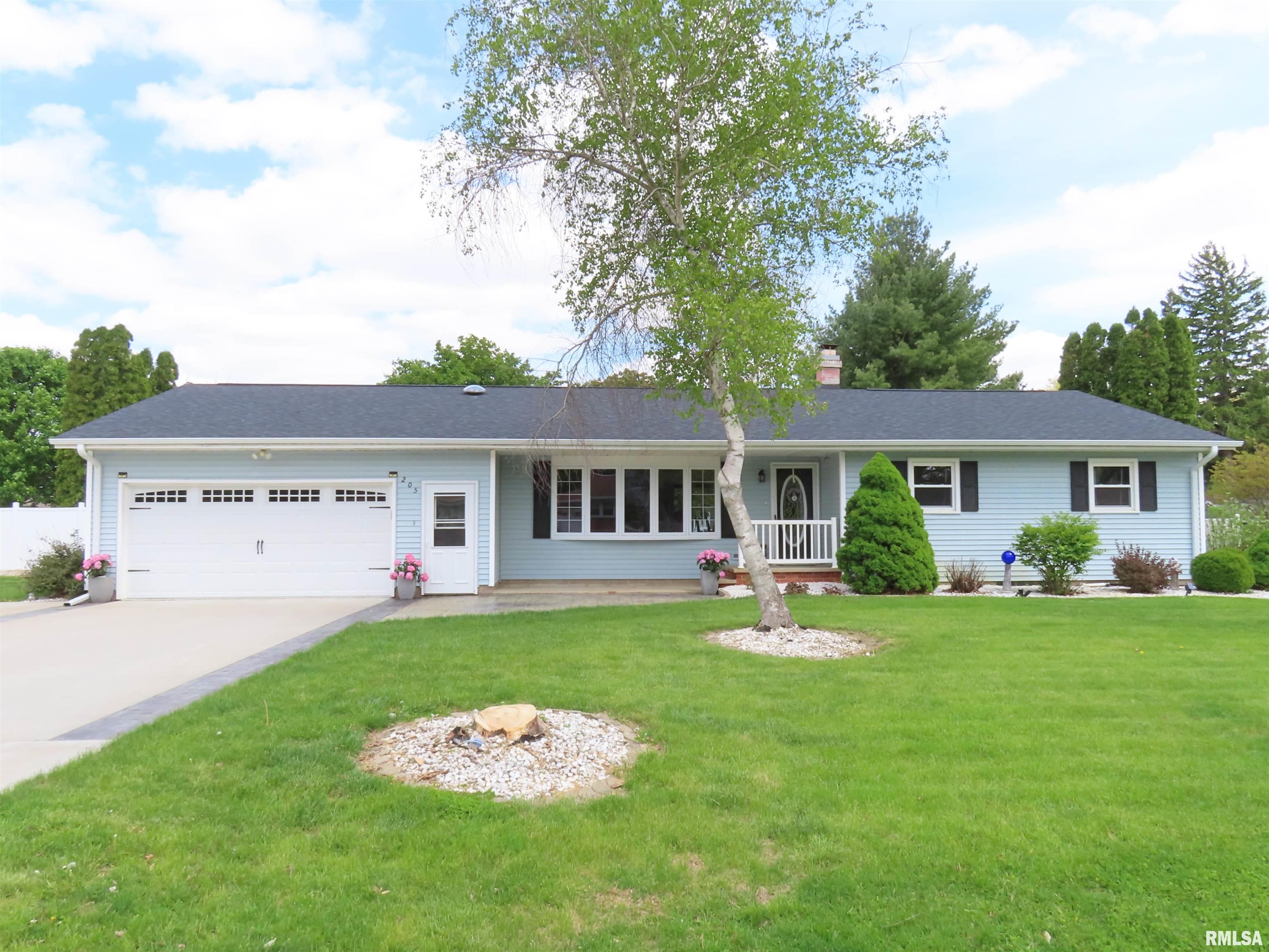 205 South Park Street Alpha, IL 61413 - Photo 1 of 59