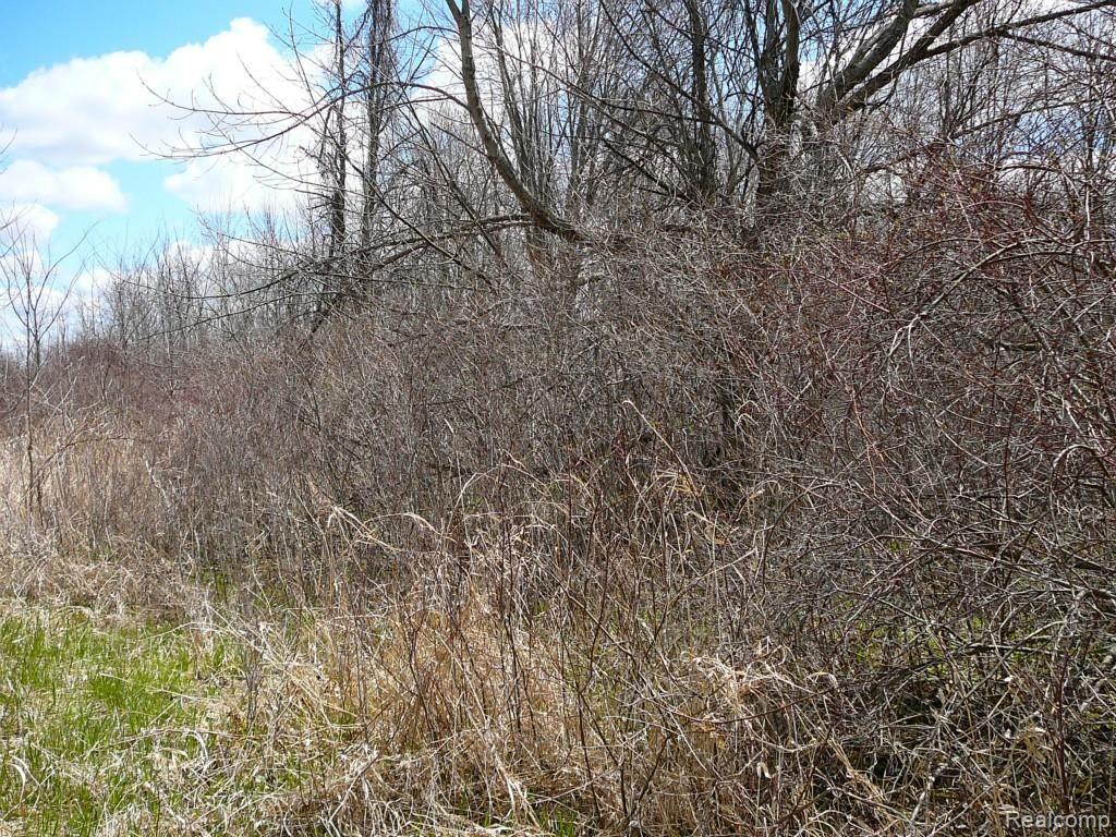 0 Brimley Road West Webberville, MI 48892 - Photo 9 of 36 2015-04-26 12.03