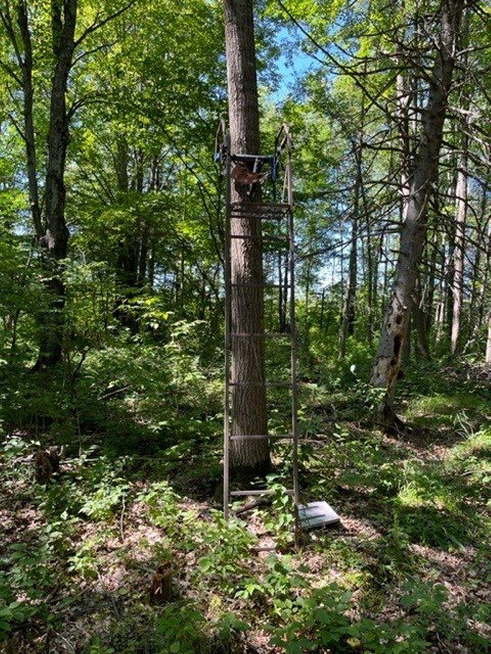 Off Walnut Road Kennan, WI 54537 - Photo 12 of 24 Gallery Image 12