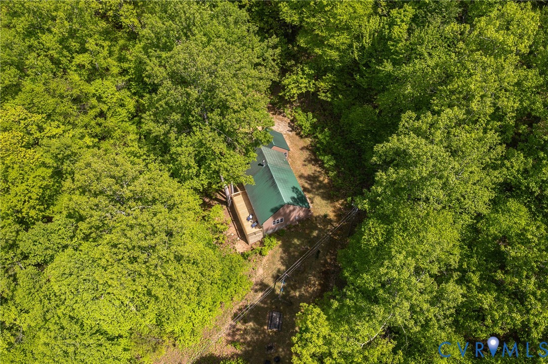 270 Little Cabin Road Amherst, VA 24521 - Photo 45 of 52 a view of a tree