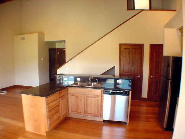 323 Adams Ranch Road, Unit 2B Mountain Village, CO 81435 - Photo 3 of 7 Additional Photo