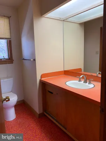 a bathroom with a shower and a toilet