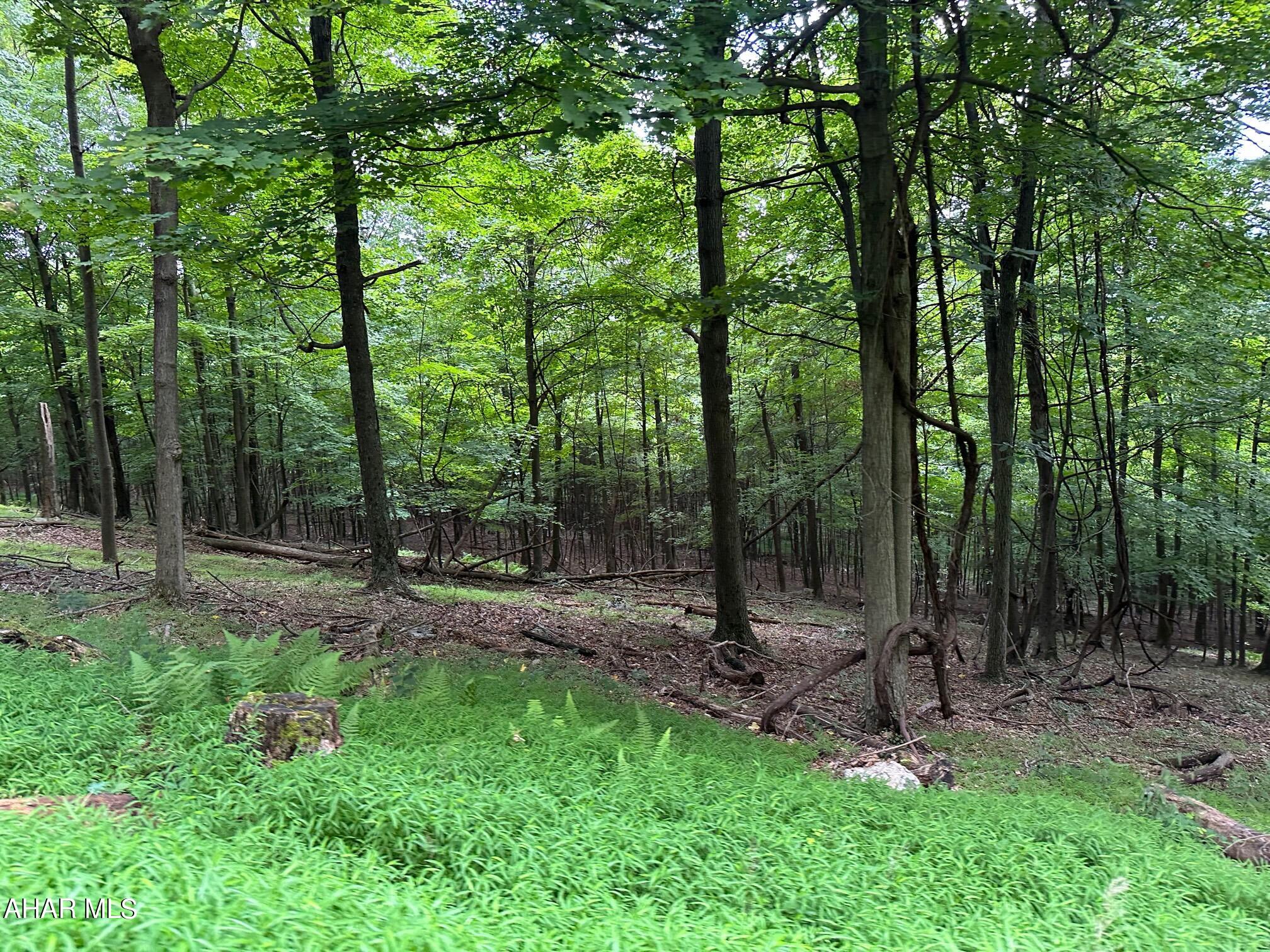 Lot #1 Louks Road Bedford, PA 15522 - Photo 10 of 11