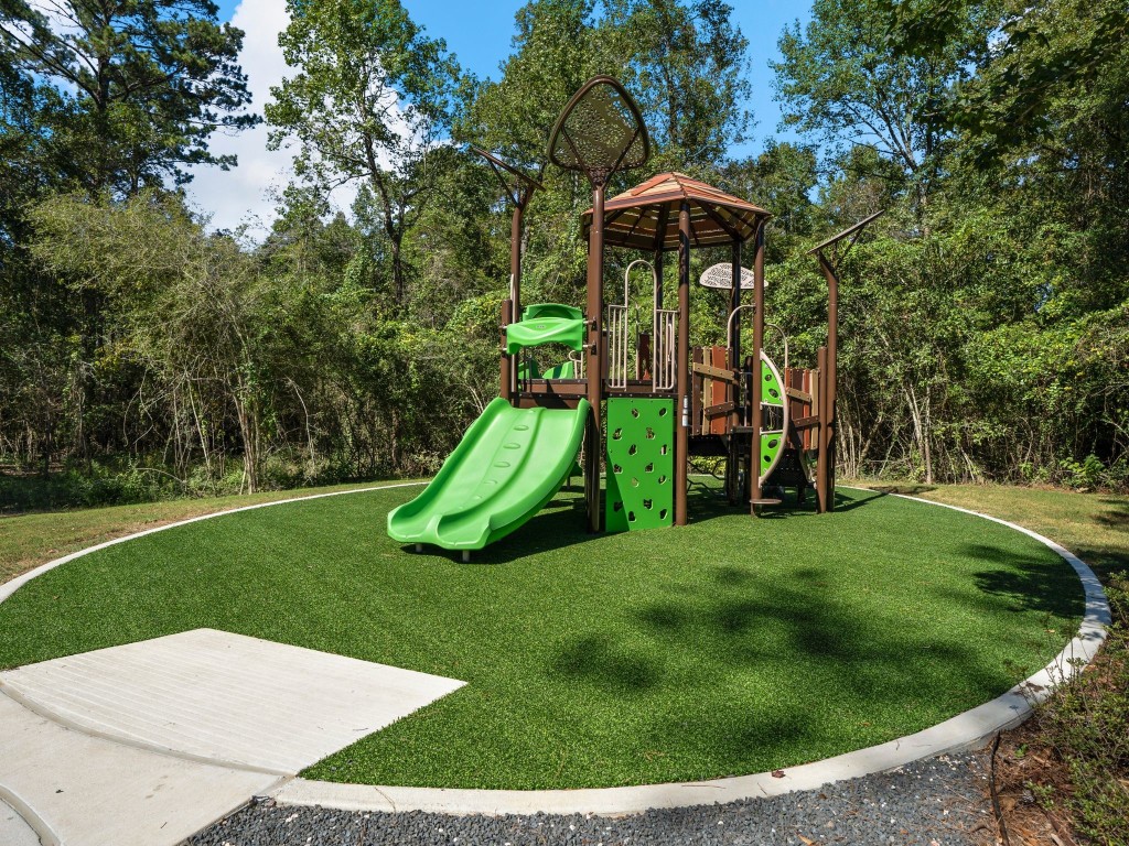 16847 Deep Wingbeat Way Magnolia, TX 77354 - Photo 15 of 16 a view of a garden with a slide