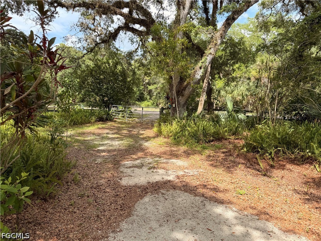 18251 Persimmon Ridge Road Alva, FL 33920 - Photo 4 of 16