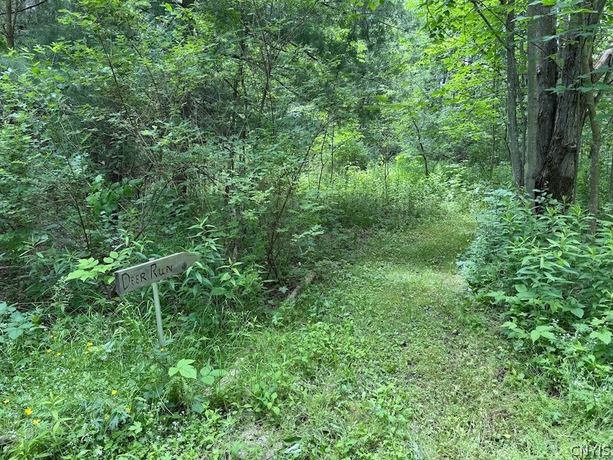 6227 Fritz Road Belfast, NY 14739 - Photo 40 of 50
