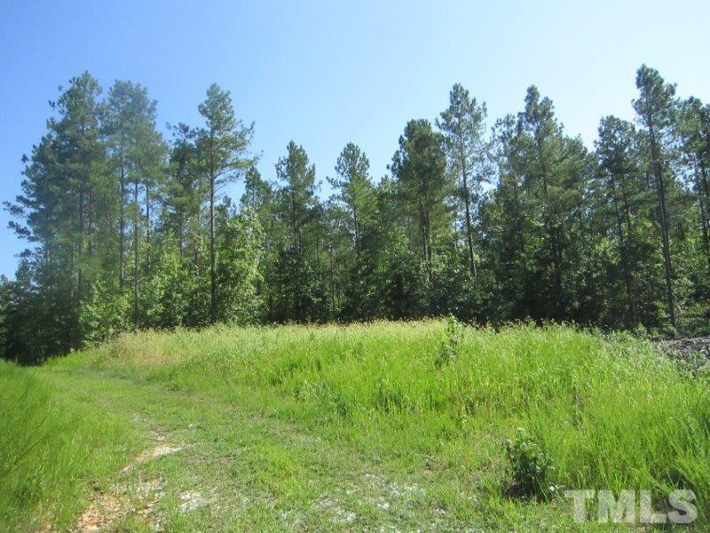 Community Road, Unit SR 1147 Oxford, NC 27565 - Photo 2 of 14