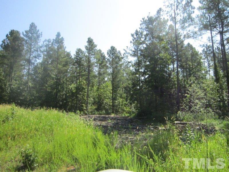 Community Road, Unit SR 1147 Oxford, NC 27565 - Photo 3 of 14