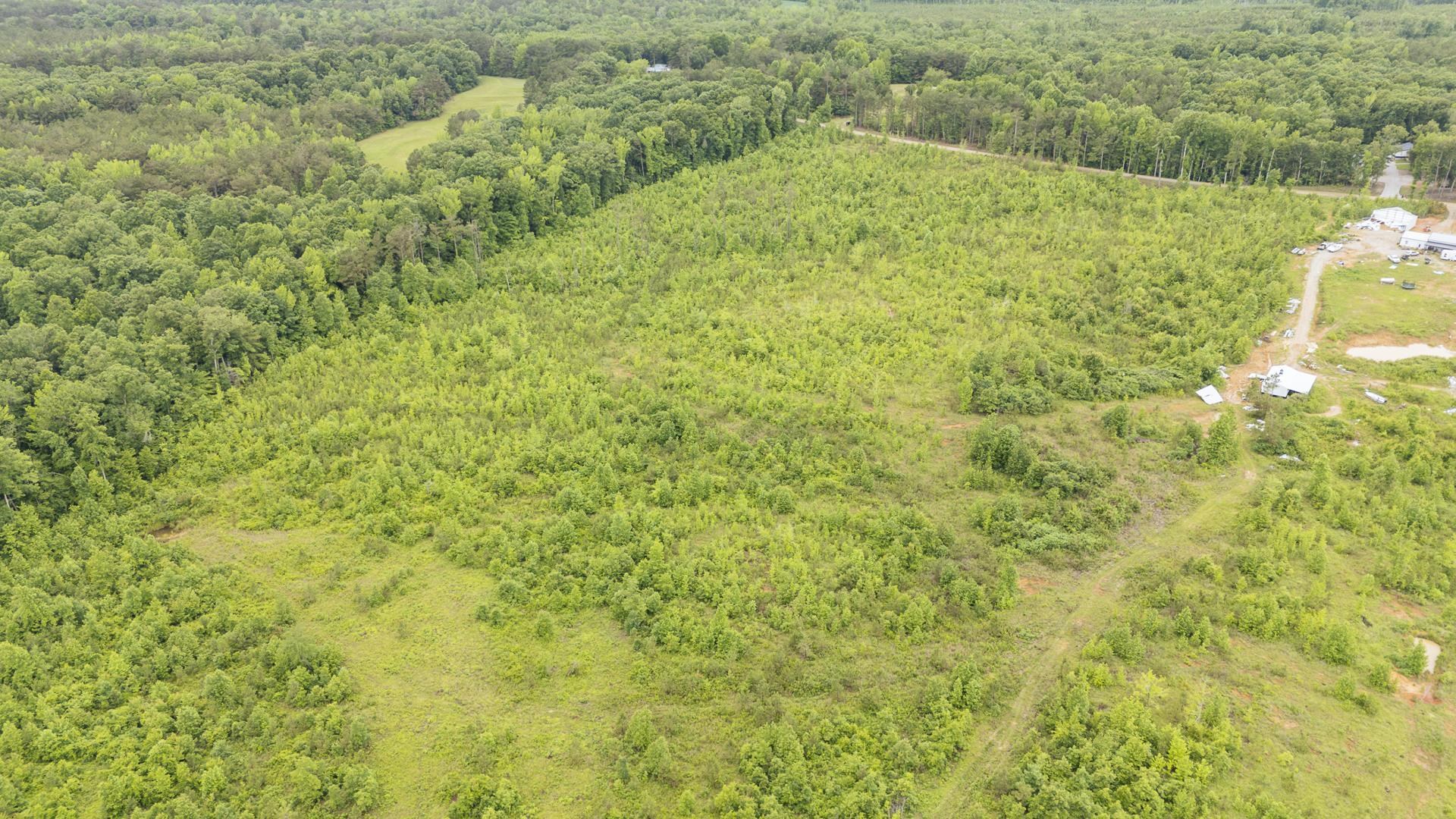 0 Leapwood Enville Road Adamsville, TN 38310 - Photo 7 of 38 a view of a big yard with large trees