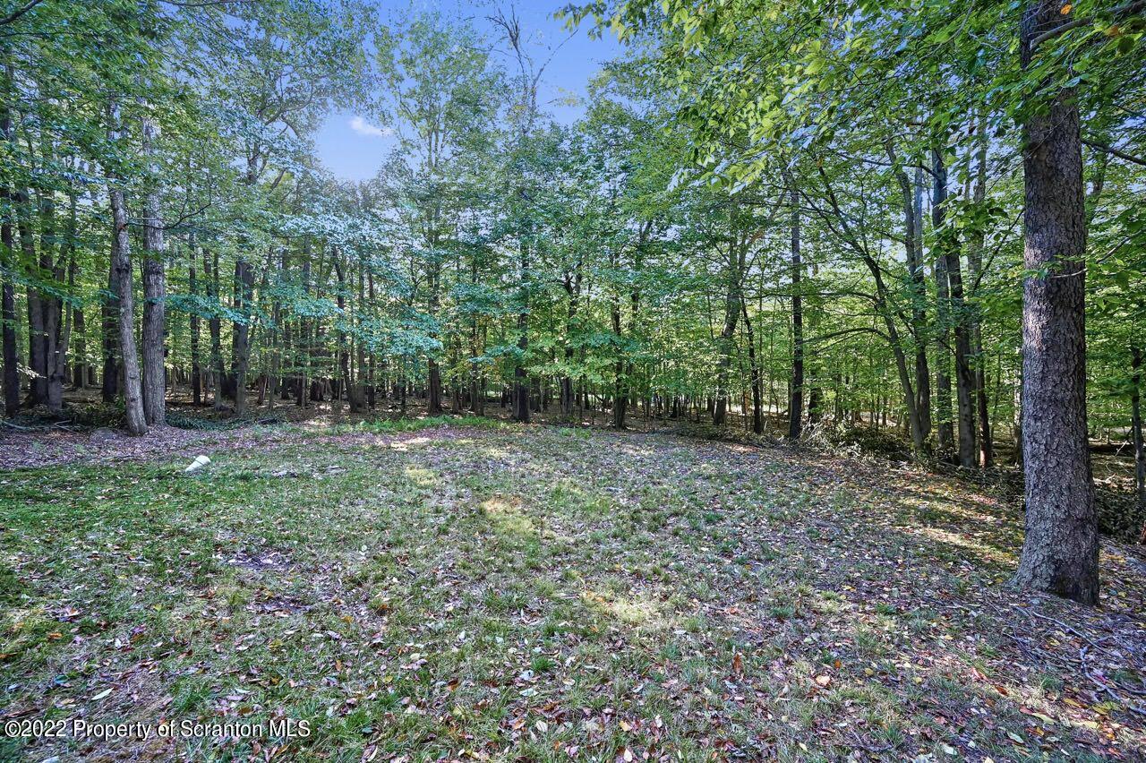 1038 Beaver Run Road Newfoundland, PA 18445 - Photo 29 of 34 a view of outdoor space and green space