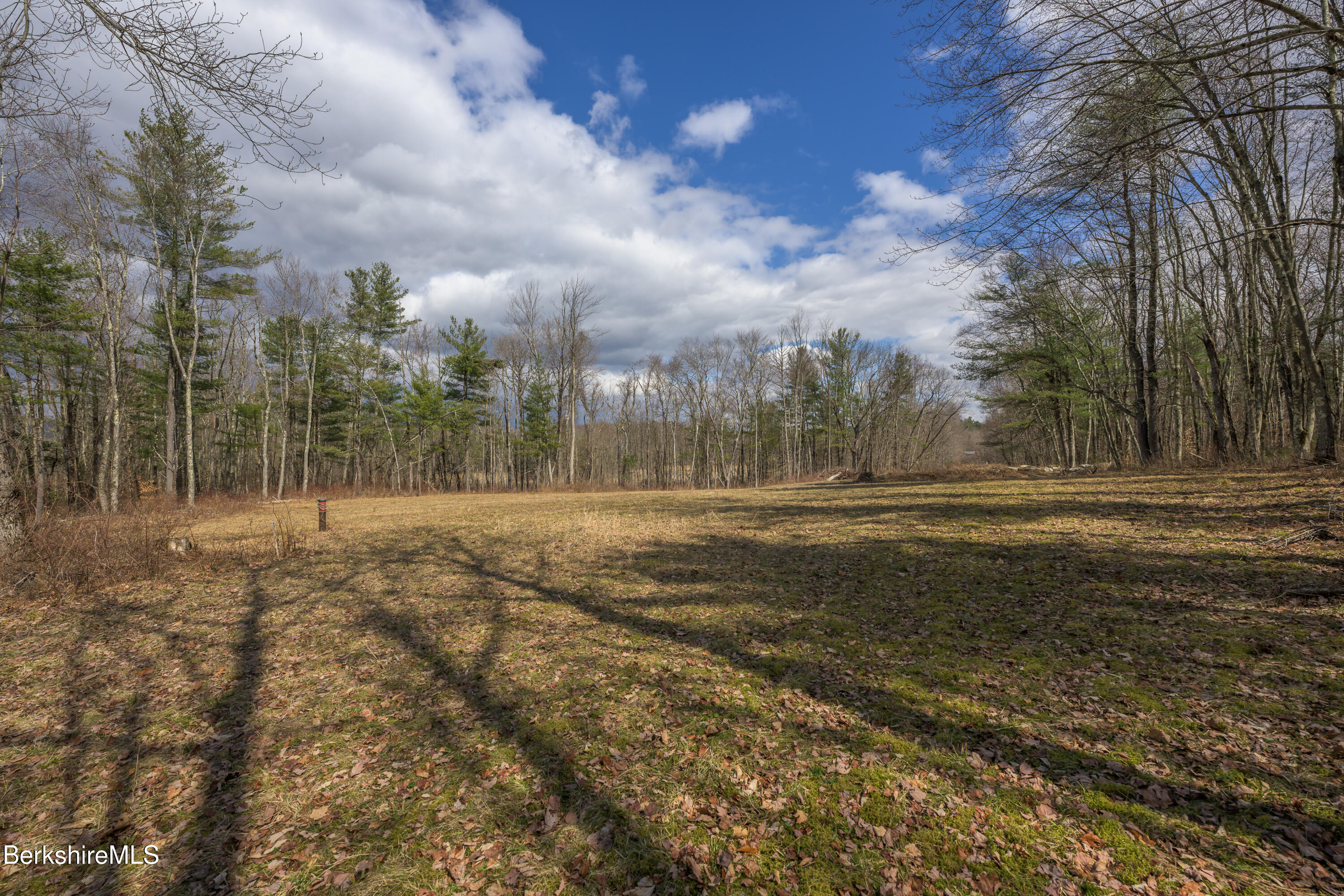 0 Swamp Road Pittsfield, MA 01201 - Photo 8 of 30 Print - 00 Swamp Rd Richmond MA 01254-74
