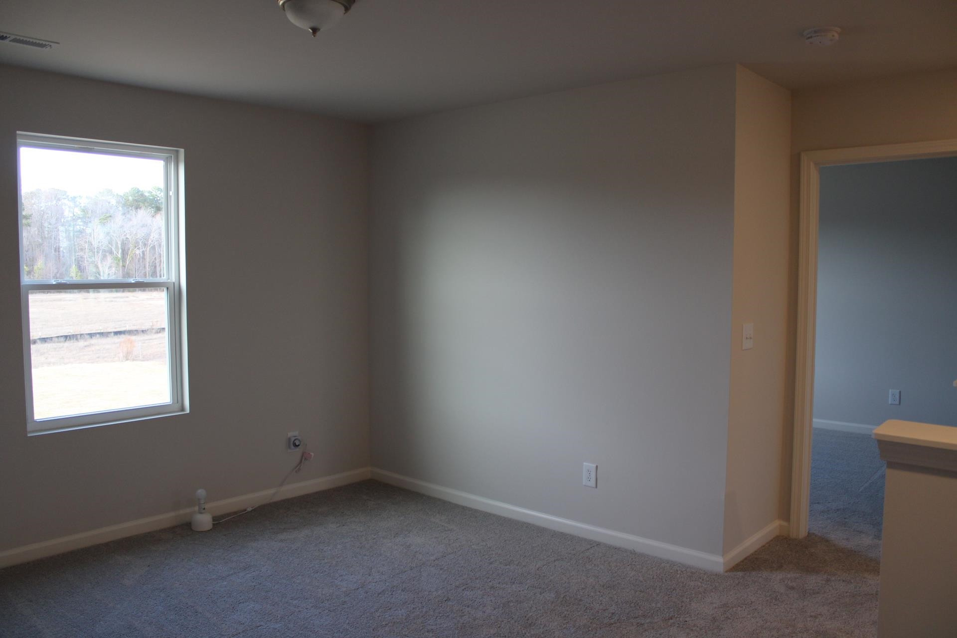 9585 Chapman Road Bailey, NC 27807 - Photo 26 of 58 Photo 26