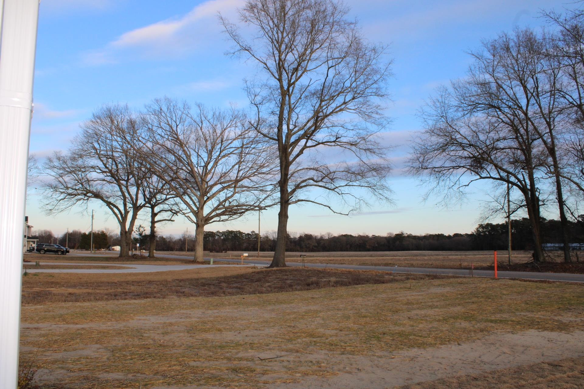 9585 Chapman Road Bailey, NC 27807 - Photo 41 of 58 Photo 41