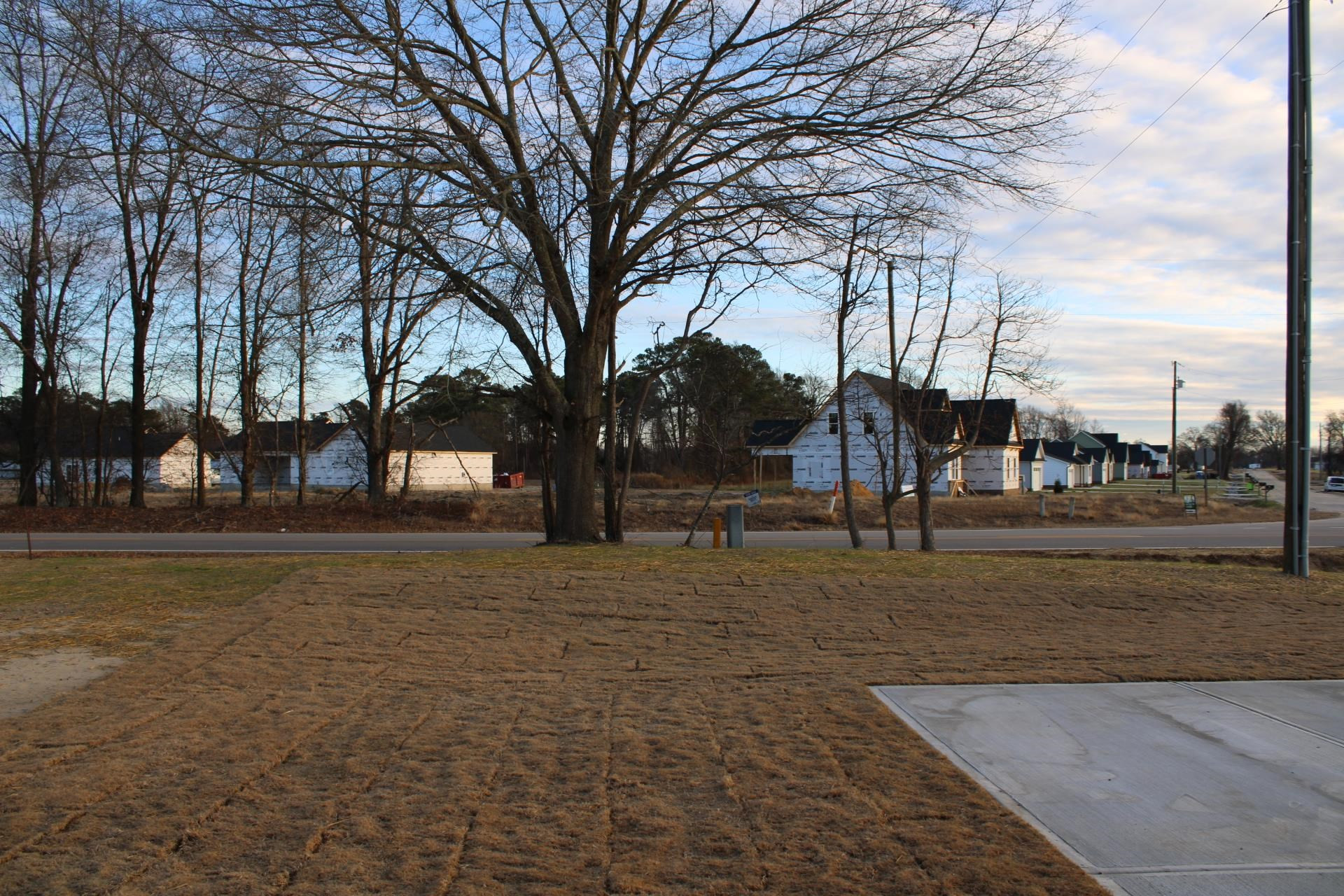 9585 Chapman Road Bailey, NC 27807 - Photo 42 of 58 Photo 42