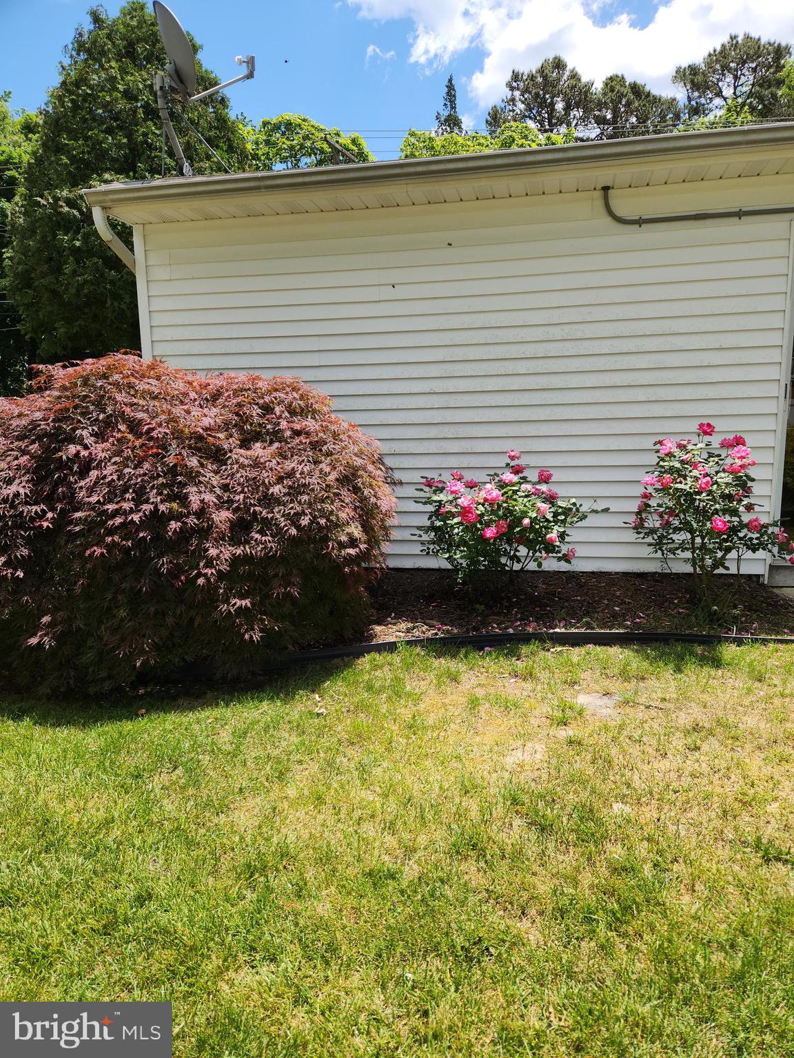 281 Center Street Little Egg Harbor, NJ 08087 - Photo 37 of 40 Nicely Landscaped - Freshly Mulched