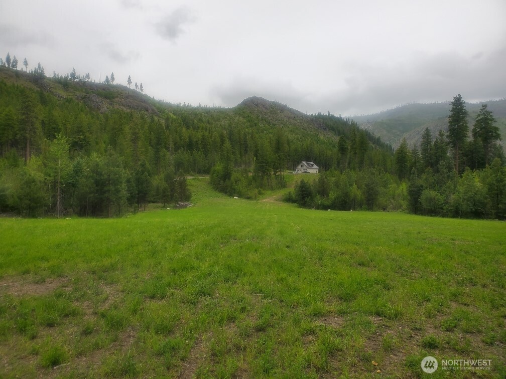 0 Entiat River Road Entiat, WA 98822 - Photo 3 of 4 a view of a green field with mountains in the background