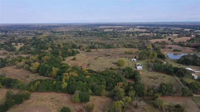 an aerial view of forest