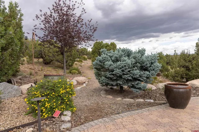 a view of a backyard with plants and a patio