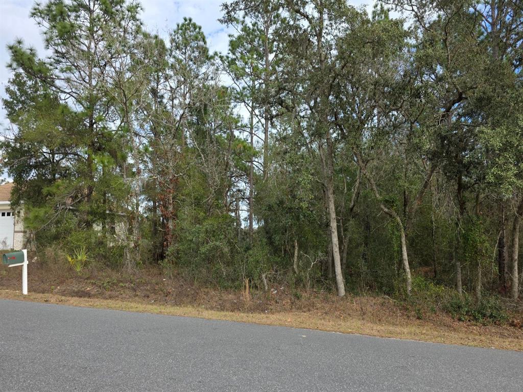 Southwest 140th Court Ocala, FL 34481 - Photo 4 of 5 a view of a yard with a trees
