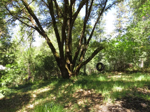 $550,000 | 25160 Pineview Drive, Colfax, CA 95713