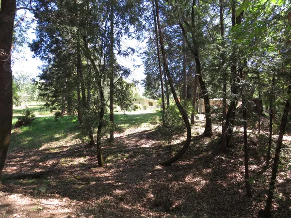 $550,000 | 25160 Pineview Drive, Colfax, CA 95713